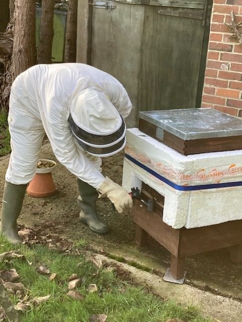 A person in white protective gear working on a bee hive