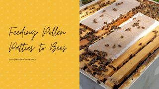 A bee hive with bees on it