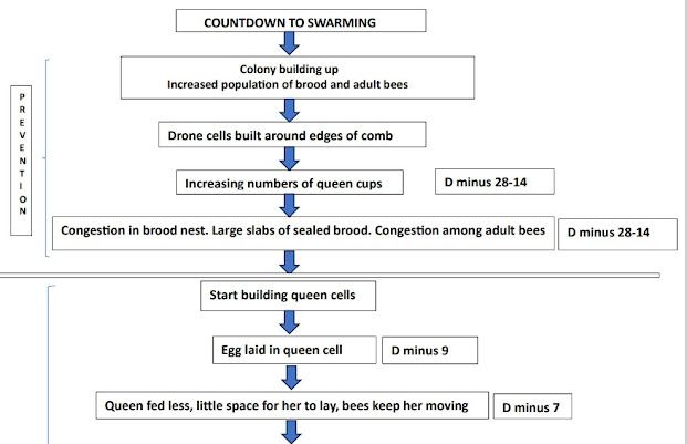 A diagram of a beekeeper's process