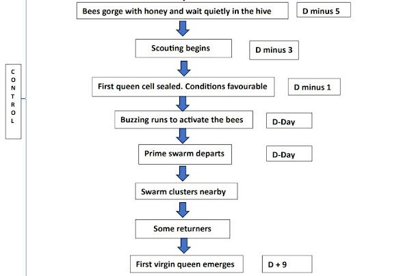 A diagram of a beekeeping process
