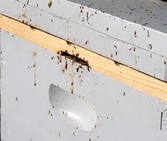 A close-up of a drawer