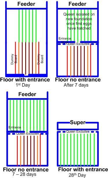Bailey comb change diagram