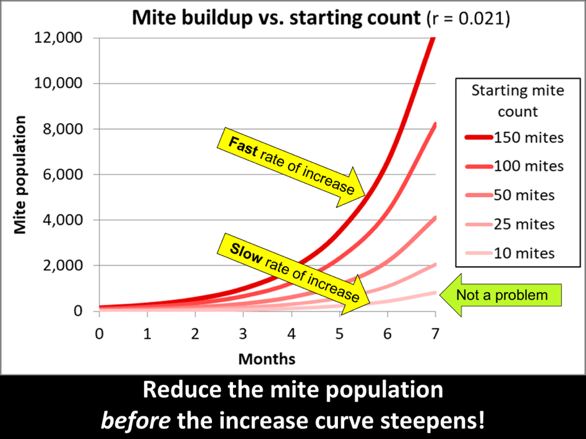 A graph with red lines and yellow arrows