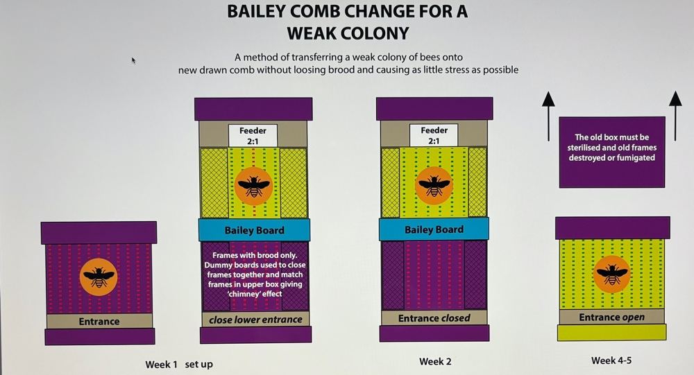 Bailey comb change diagram