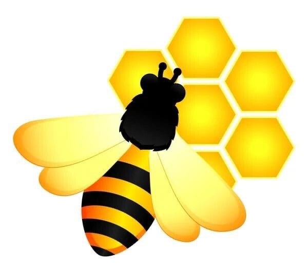 Illustration of a honey bee and honeycomb