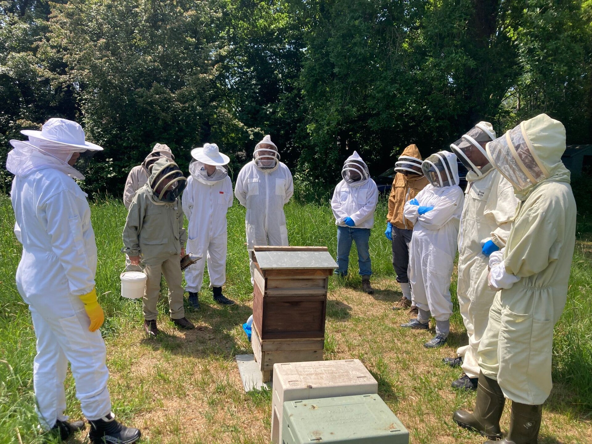 Training in the teaching apiary