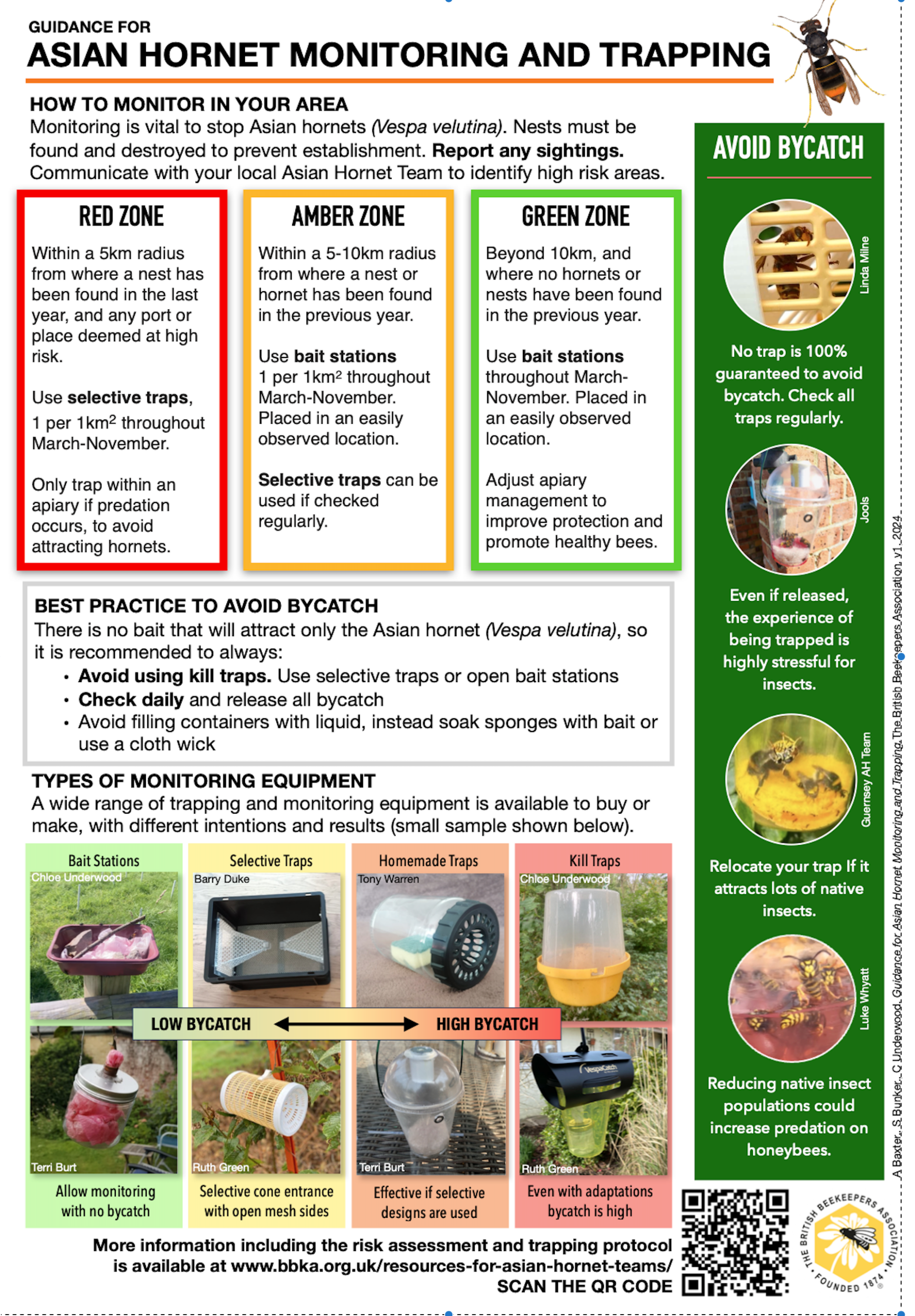 Asian hornet identification guidance