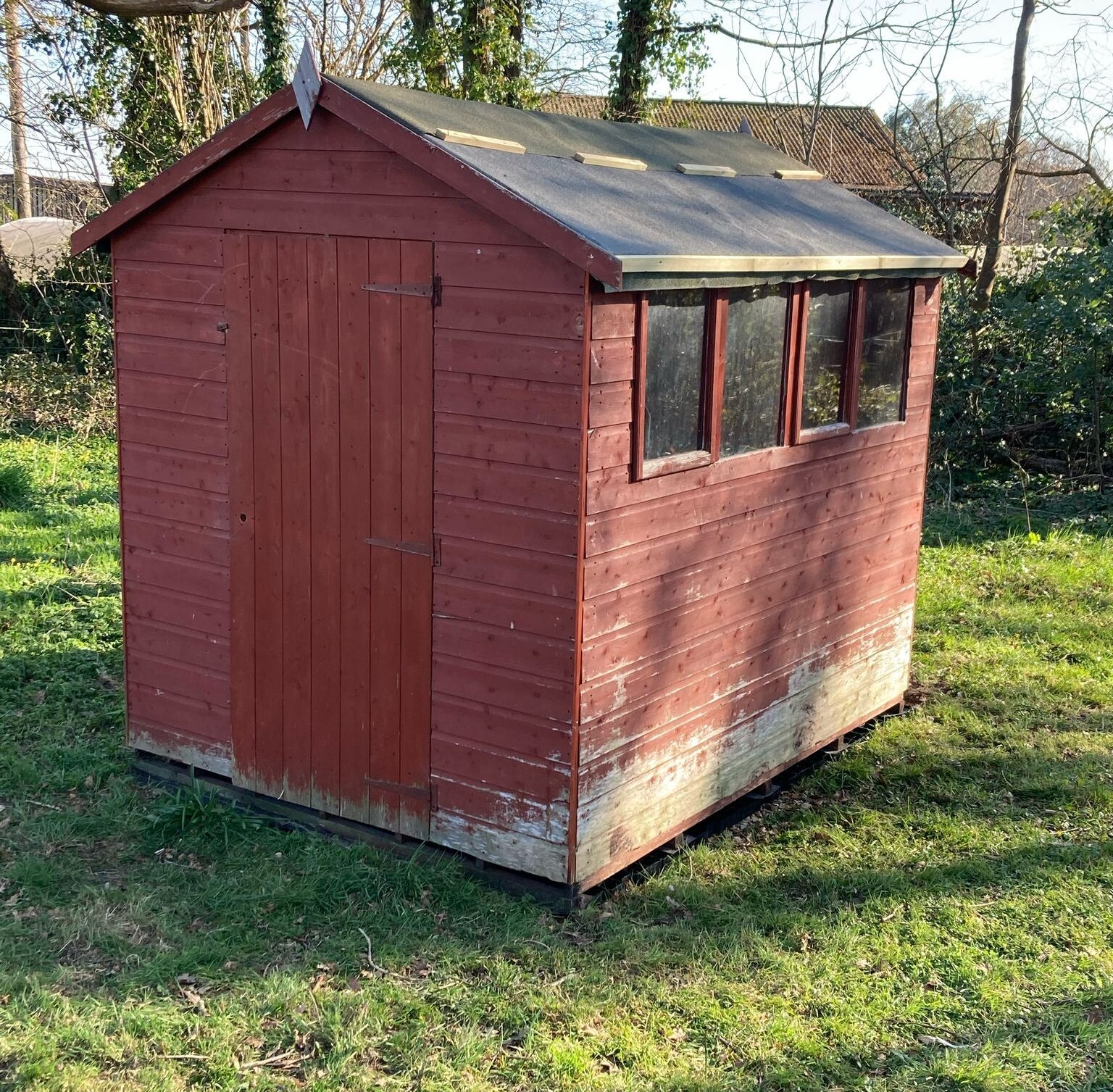 The apiary shed