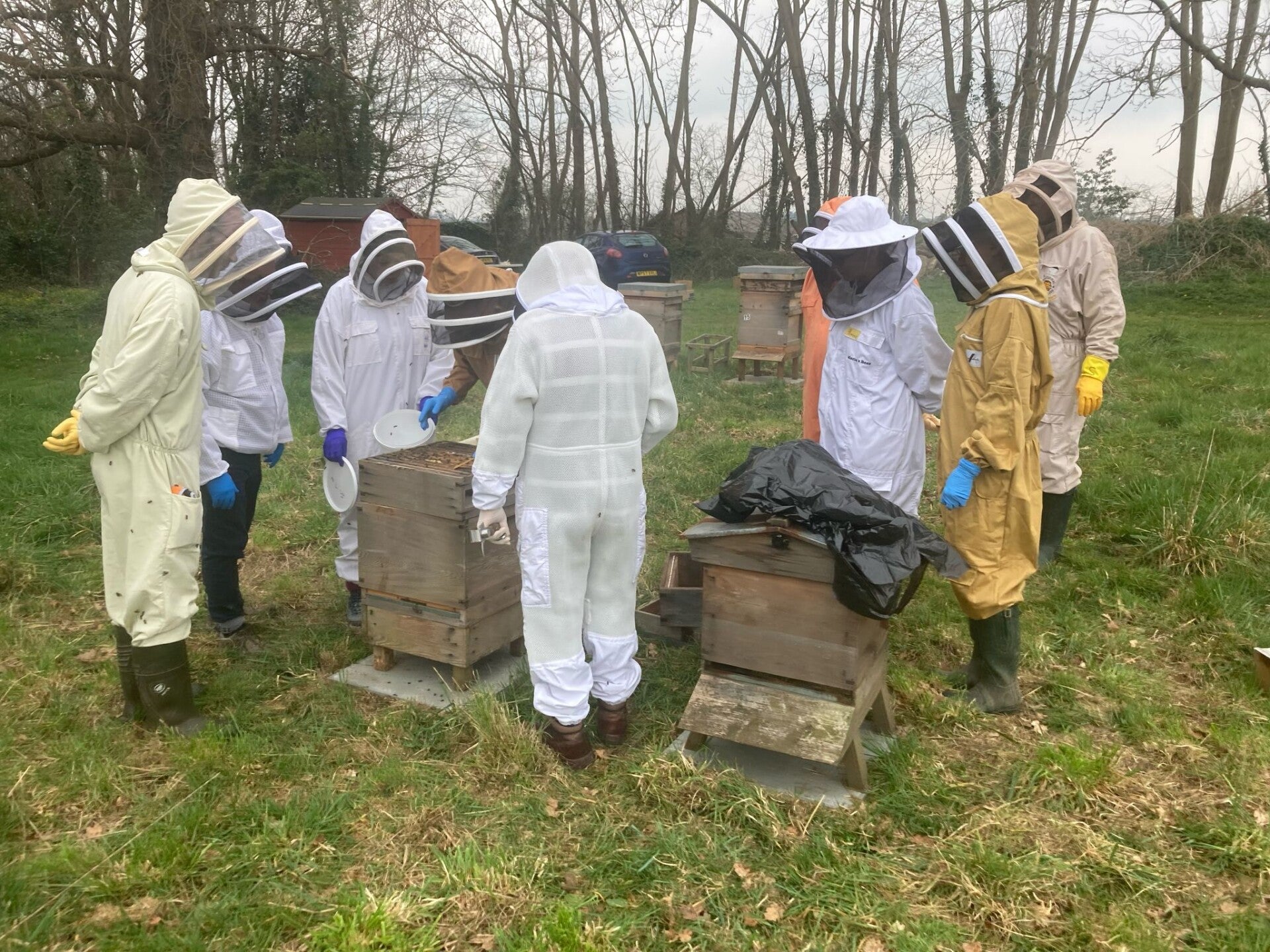 Inspecting the donated colony
