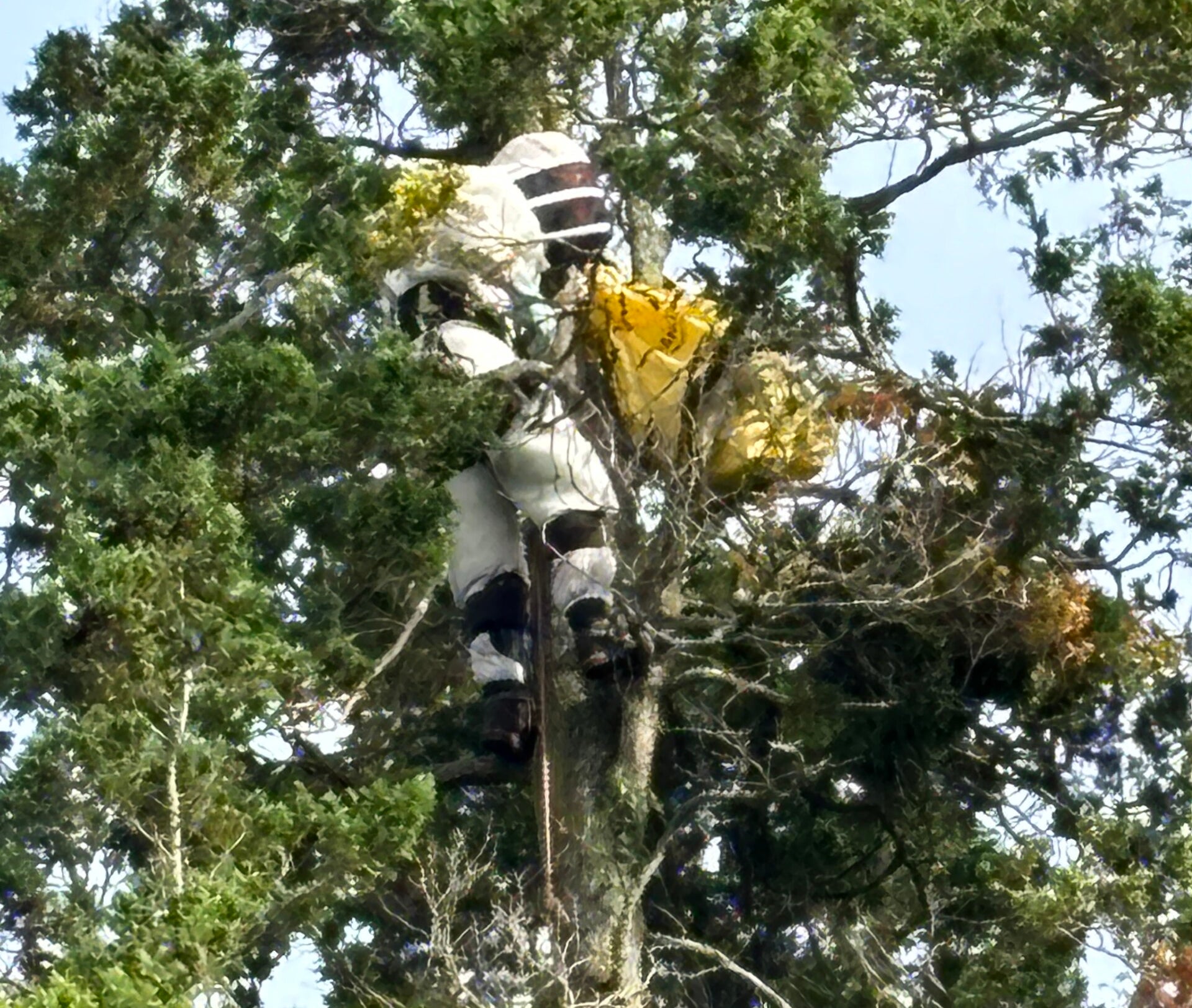 Nest bagged and ready to lower